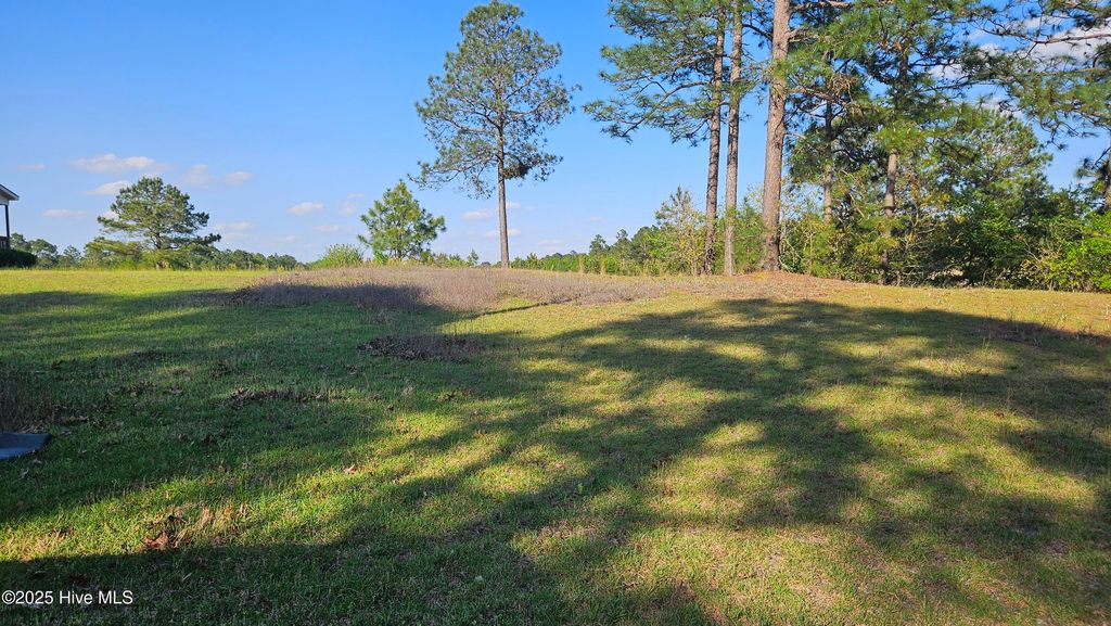 Photo of 1 Old Tom Morris Road, Garland, NC 28441 (MLS # 100500678)