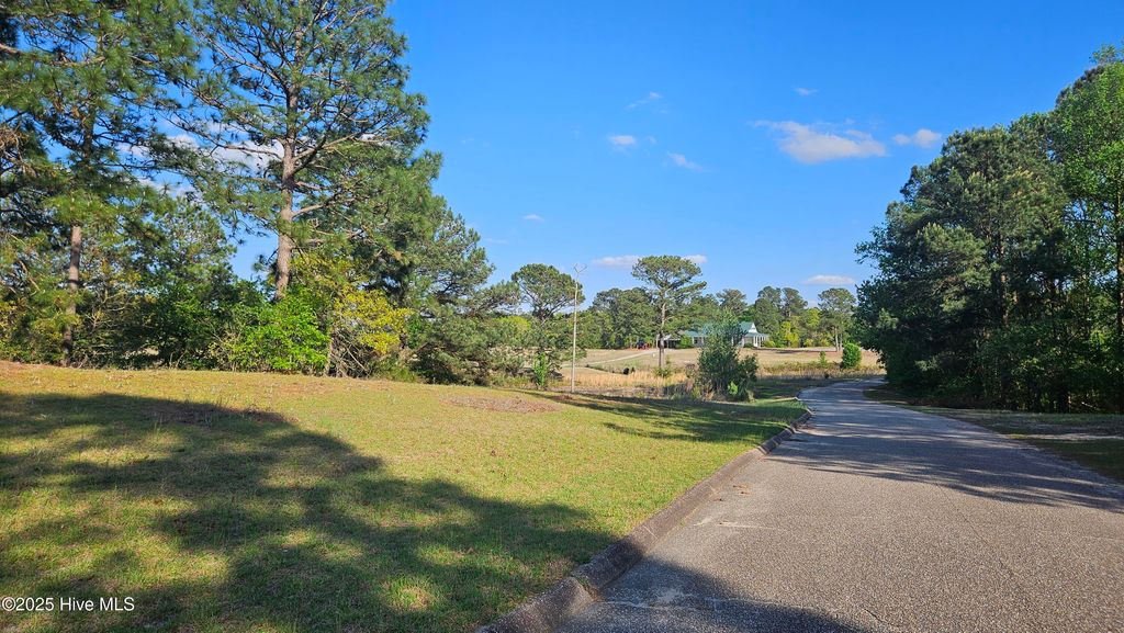 Photo of 1 Old Tom Morris Road, Garland, NC 28441 (MLS # 100500678)