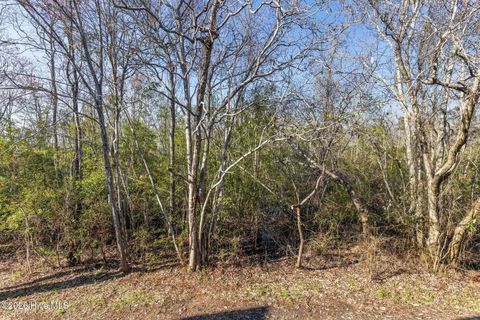 Tiny photo for 200 River Gate Lane, Wilmington, NC 28412 (MLS # 100560146)