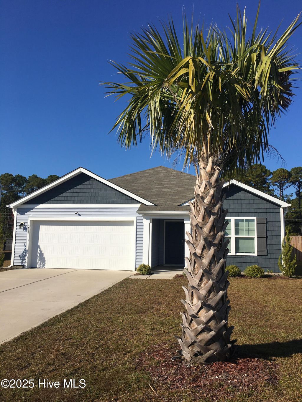 Photo of 1221 Saint Augustine Drive, Castle Hayne, NC 28429 (MLS # 100533721)