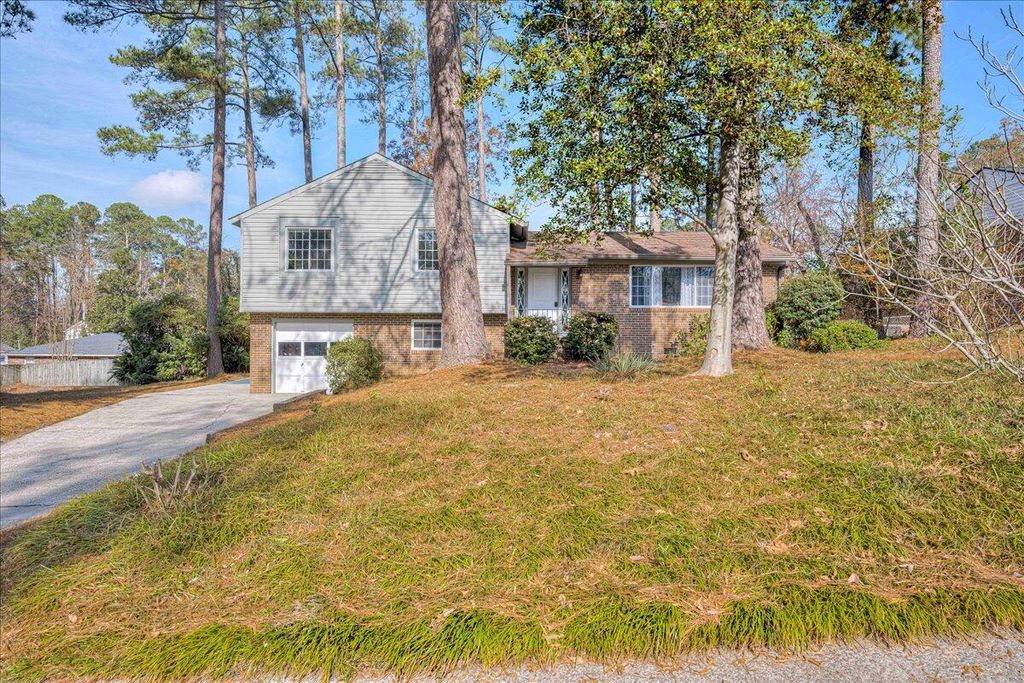 Photo of 3223 Crane Ferry Road, Augusta, GA 30907 (MLS # 549696)