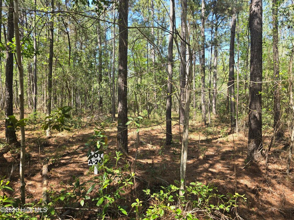 Photo of 20 Renee Drive, Hampstead, NC 28443 (MLS # 100567025)