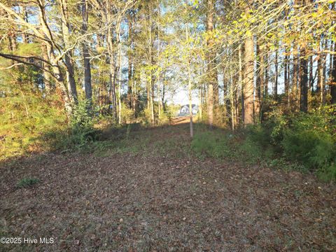 Tiny photo for 1591 White Oak River Road, Maysville, NC 28555 (MLS # 100544896)