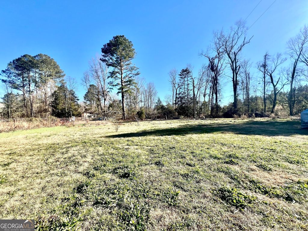 Photo of 1274 Ga Highway 171 Road, Louisville, GA 30434 (MLS # 546376)