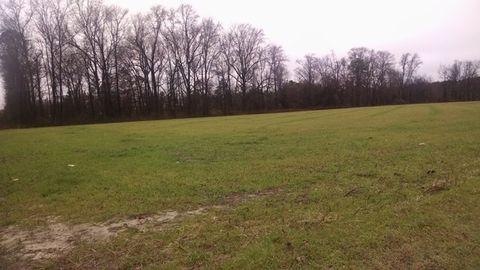 Vacant Land For Sale - 00 Old Mt Olive Highway<br/> Dudley, NC 28333