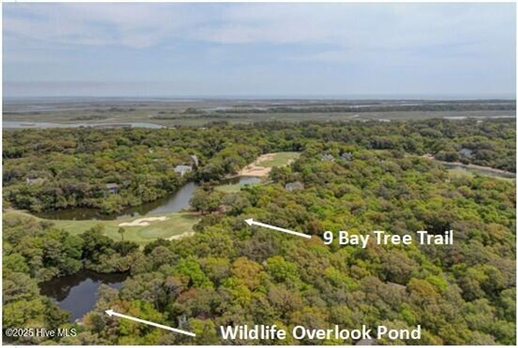 Photo of 9 Bay Tree Trail, Bald Head Island, NC 28461 (MLS # 100493423)