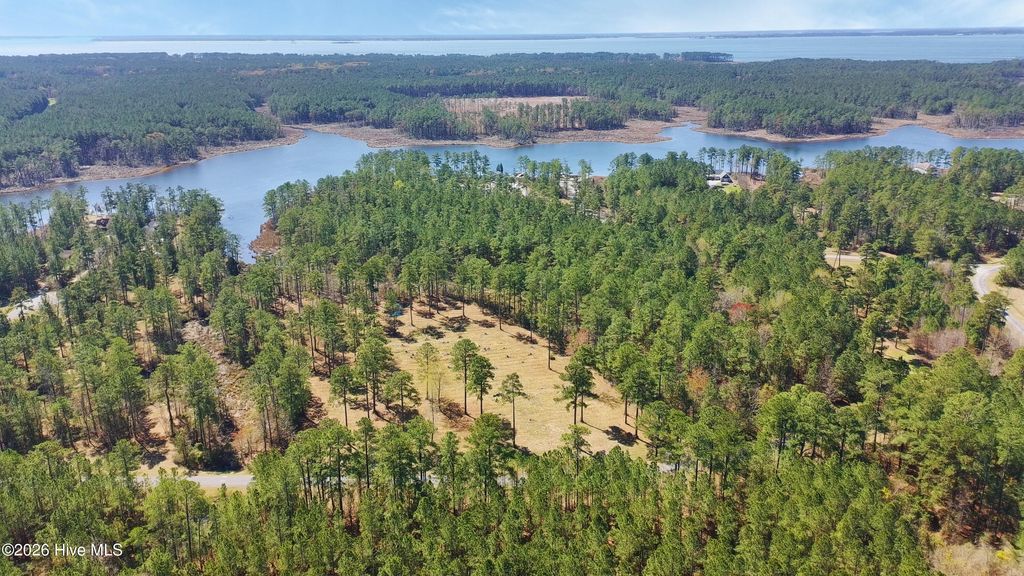 Photo of 32 Bailey Pointe Drive, Belhaven, NC 27810 (MLS # 100559093)