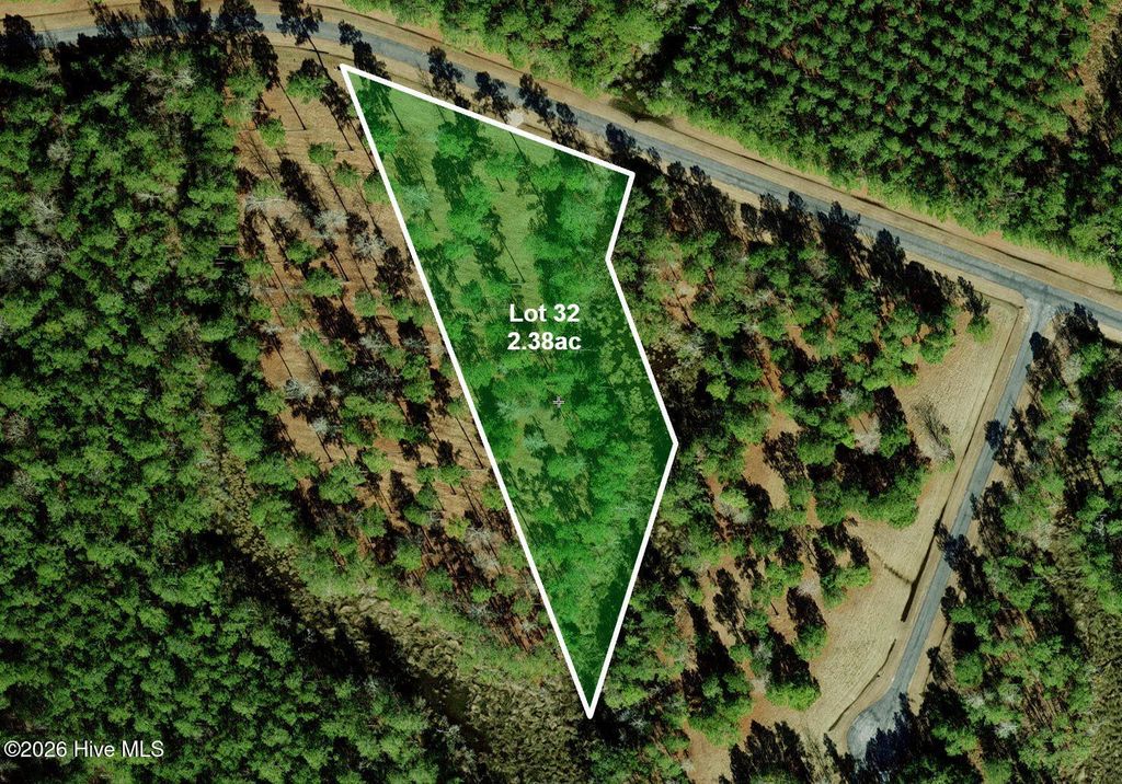 Photo of 32 Bailey Pointe Drive, Belhaven, NC 27810 (MLS # 100559093)