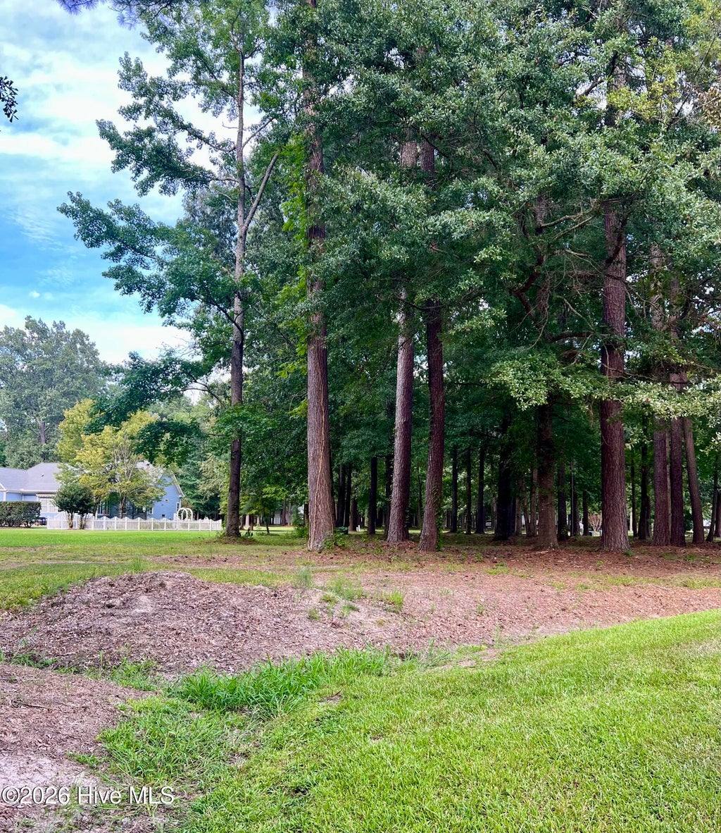 Photo of 108 Nanthala Court W, Hertford, NC 27944 (MLS # 100599612)