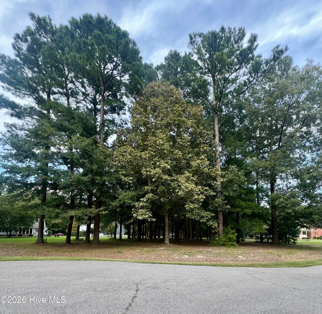 Photo of 108 Nanthala Court W, Hertford, NC 27944 (MLS # 100599612)