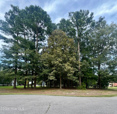 Vacant Land For Sale - 108 Nanthala Court<br/> Perquimans County, Hertford, NC 27944