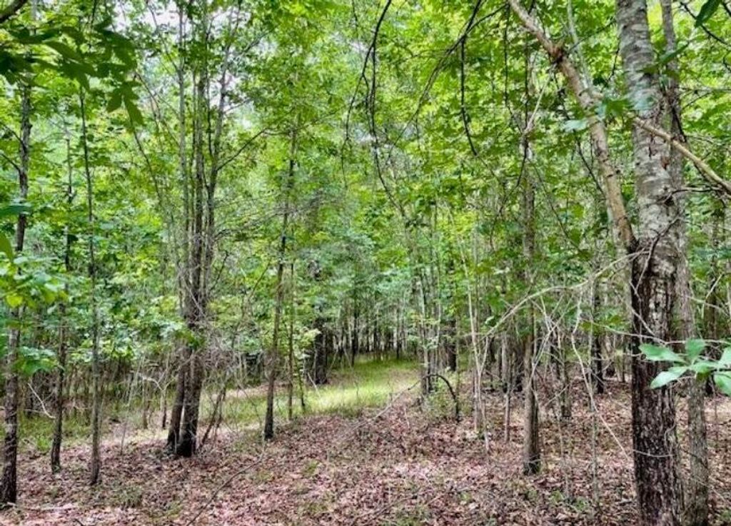 Photo of 4 Indian Road, Lincolnton, GA 30817 (MLS # 553352)