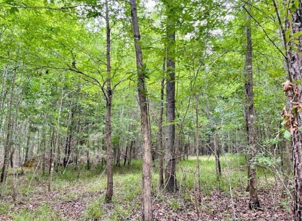 Photo of 4 Indian Road, Lincolnton, GA 30817 (MLS # 553352)