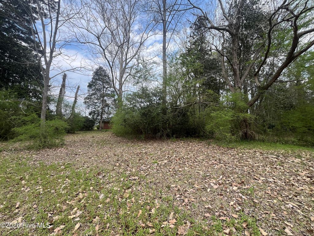 Photo of 720 Main Street, Bayboro, NC 28515 (MLS # 100562360)