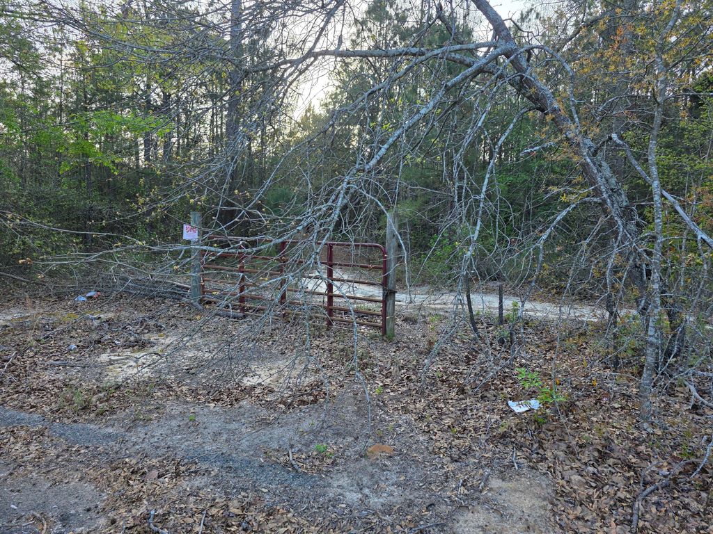 Photo of 2797 Raborn Road, Hephzibah, GA 30815 (MLS # 553995)