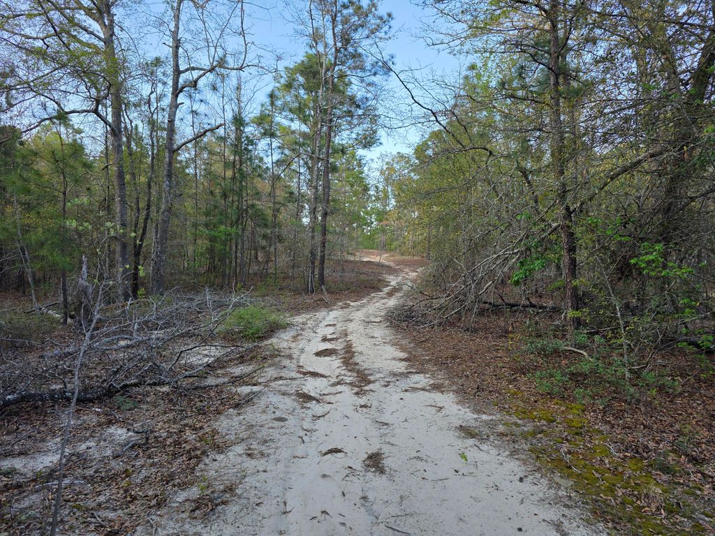 Photo of 2797 Raborn Road, Hephzibah, GA 30815 (MLS # 553995)