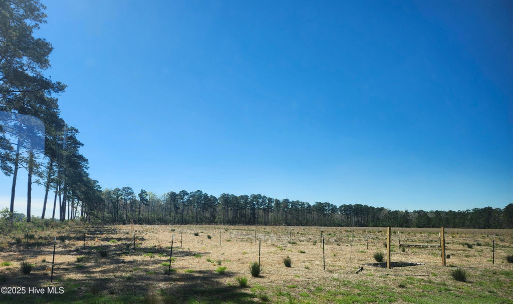 Photo of 901 Murphy Farm Road, Merritt, NC 28556 (MLS # 100569051)