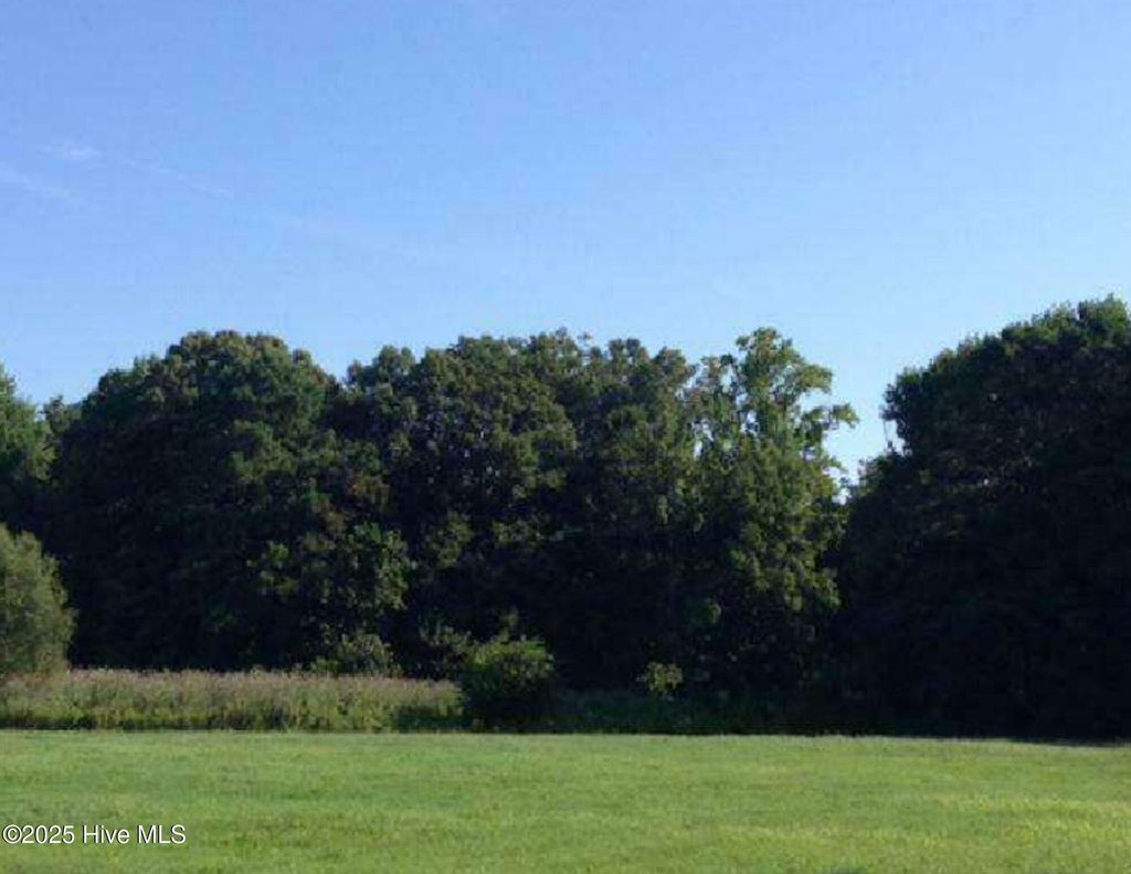 Photo of 327 Acres, Hertford, NC 27944 (MLS # 100545430)