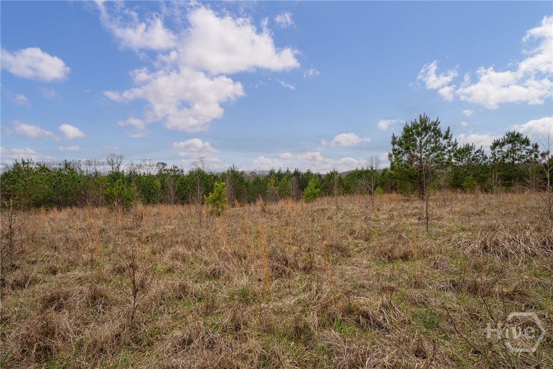 Tract 1-A High Shoals Road