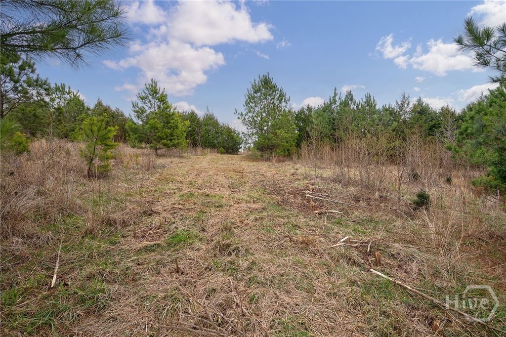 Photo of 1 High Shoals Road, Bishop, GA 30621 (MLS # CL355628)