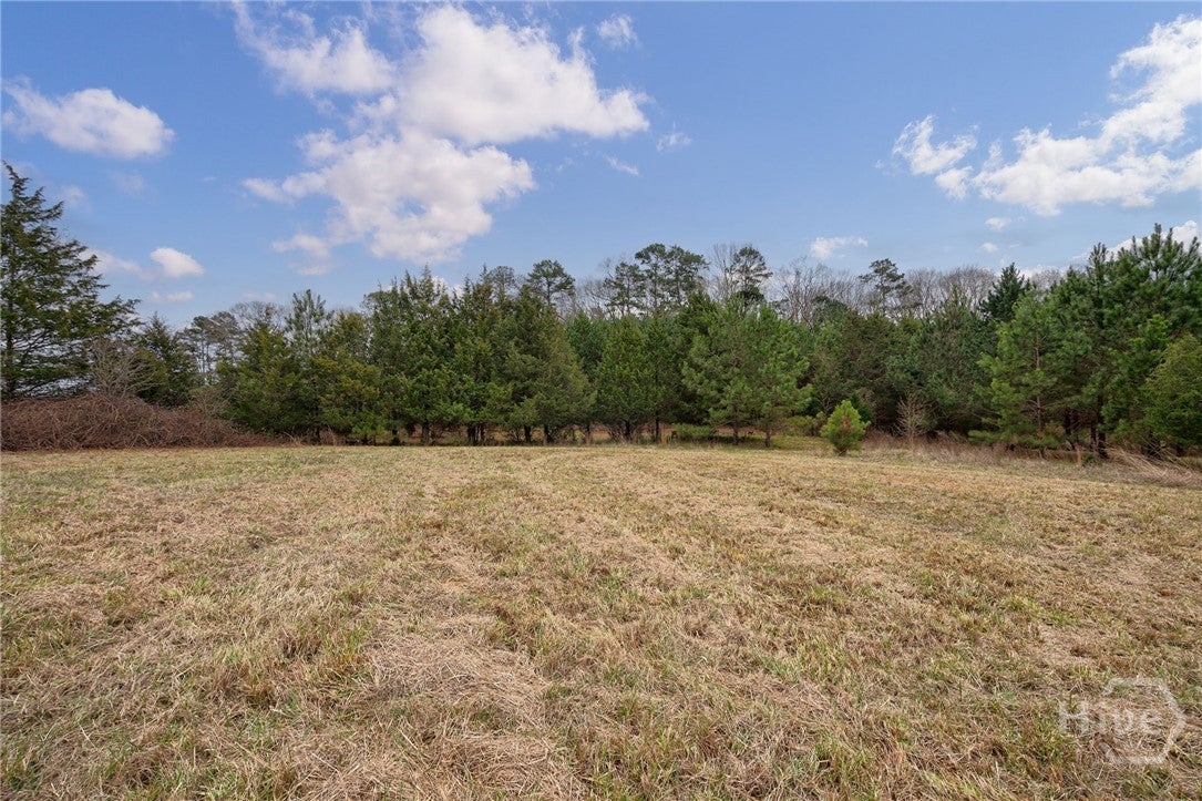 Tract 1-A High Shoals Road