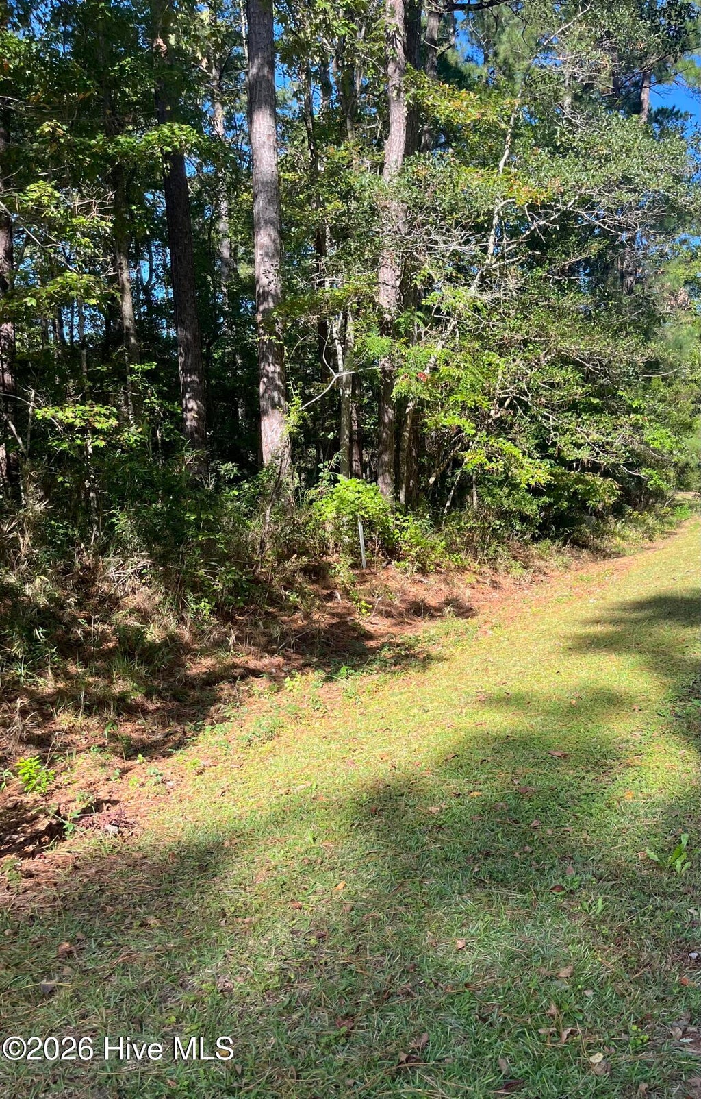 Photo of 603 Peterson Place, Oriental, NC 28571 (MLS # 100611907)