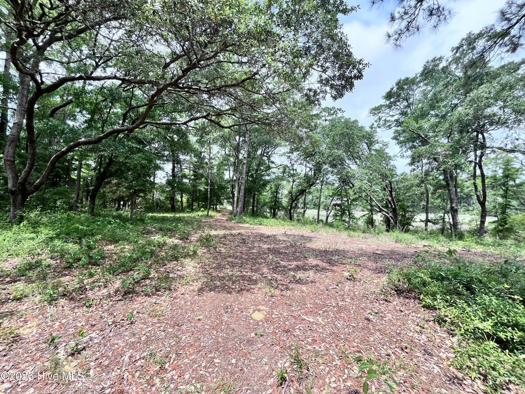 Photo of 1037 Compton Court, Southport, NC 28461 (MLS # 100581419)