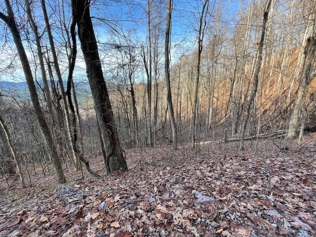 Lot 73 73 Hidden Treasure Estates - Photo 4