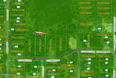 Vacant Land For Sale - 288 Elizabeth Drive<br/> Oak Island, NC 28465