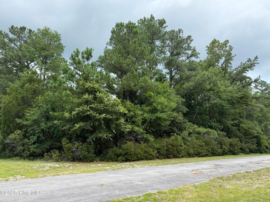 Photo of 103 Lighthouse Lane, New Bern, NC 28560 (MLS # 100521840)