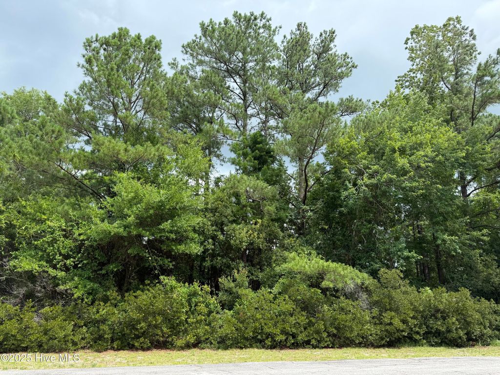 Photo of 103 Lighthouse Lane, New Bern, NC 28560 (MLS # 100521840)