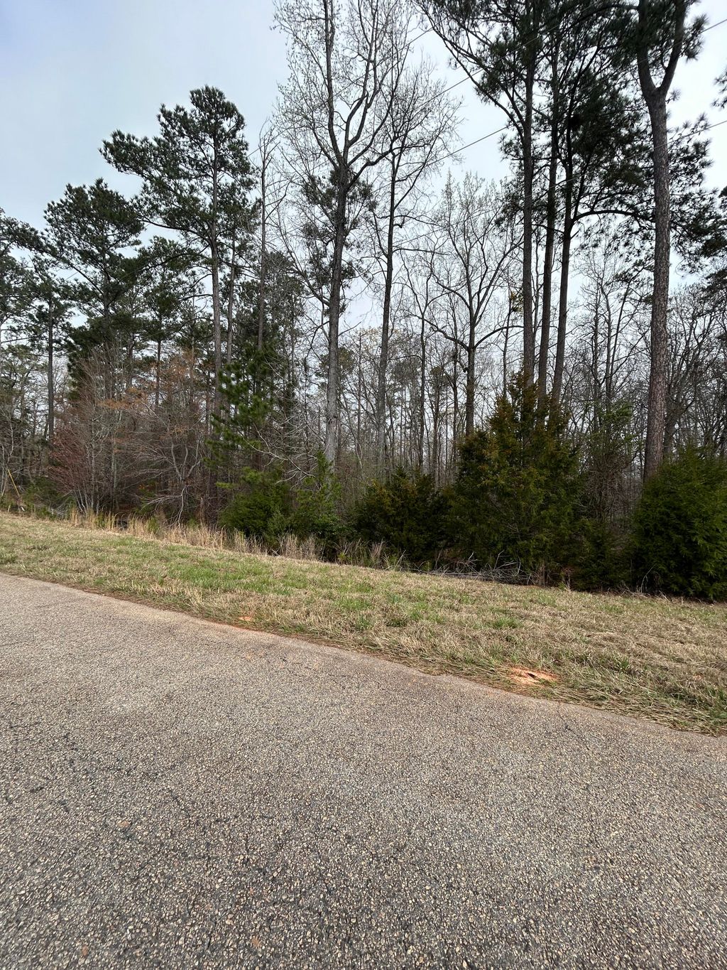 Photo of 547 Nathania Farm Road, Lincolnton, GA 30817 (MLS # 553046)