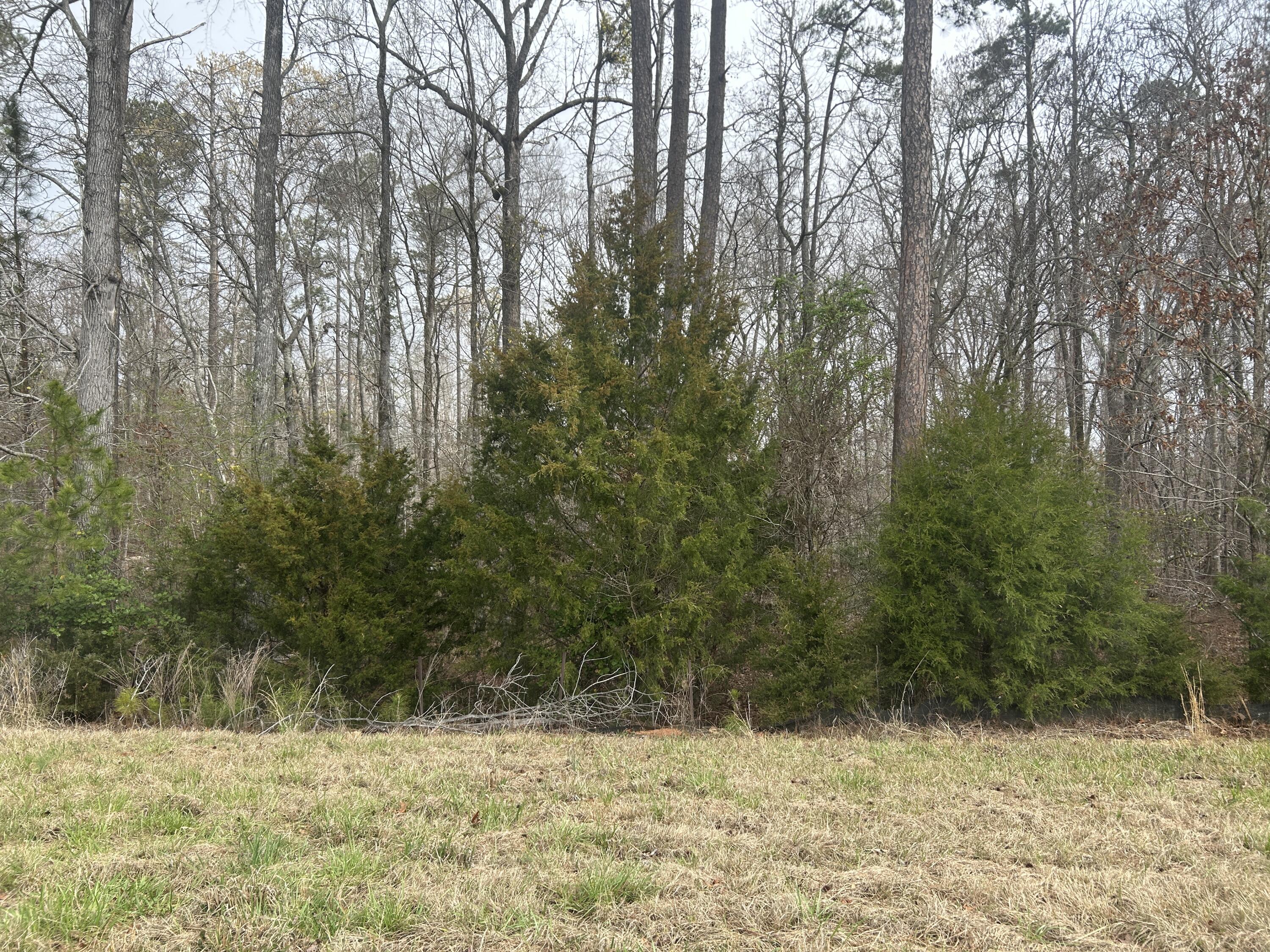 5.47ac Nathania Farm Road 65006