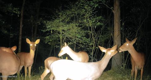 Tiny photo for 1049 Shirley Drive, Jacksonville, NC 28540 (MLS # 100545251)