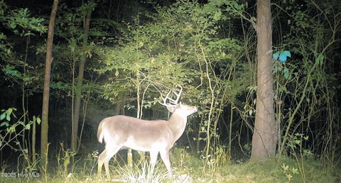 Tiny photo for 1049 Shirley Drive, Jacksonville, NC 28540 (MLS # 100545251)