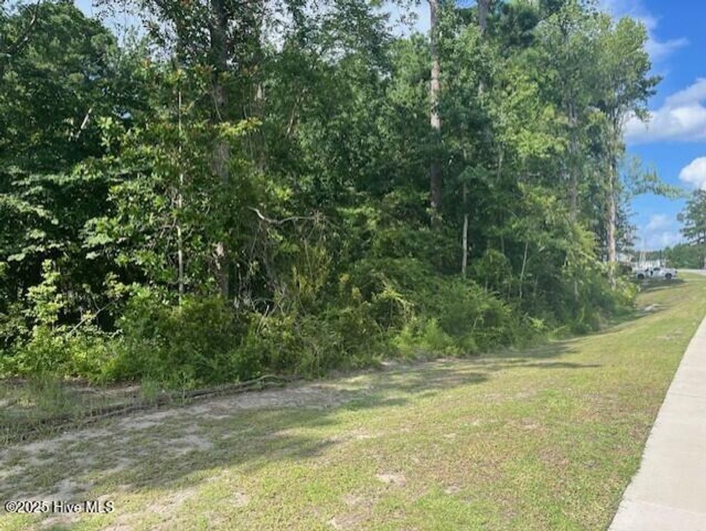 Photo of 0 Commerce Road, Jacksonville, NC 28546 (MLS # 100523178)