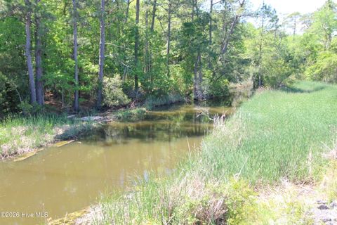 Tiny photo for 223 Bear Creek Road, Hubert, NC 28539 (MLS # 100568371)
