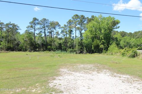 Tiny photo for 223 Bear Creek Road, Hubert, NC 28539 (MLS # 100568371)