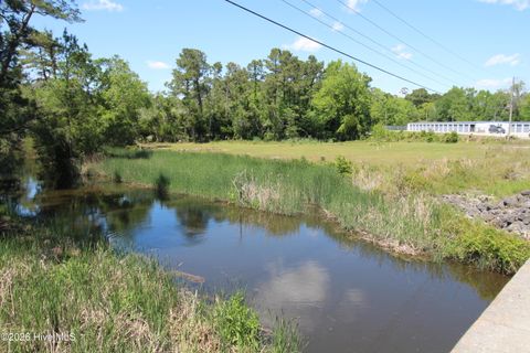 Tiny photo for 223 Bear Creek Road, Hubert, NC 28539 (MLS # 100568371)