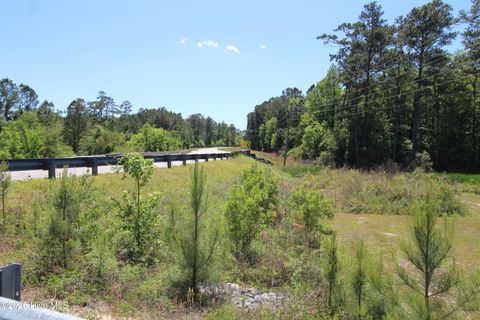 Tiny photo for 223 Bear Creek Road, Hubert, NC 28539 (MLS # 100568371)