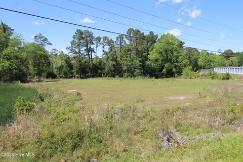 Tiny photo for 223 Bear Creek Road, Hubert, NC 28539 (MLS # 100568371)