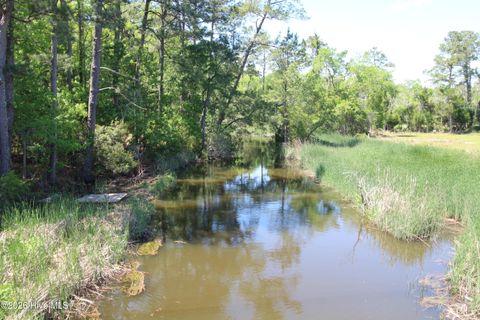 Tiny photo for 223 Bear Creek Road, Hubert, NC 28539 (MLS # 100568371)