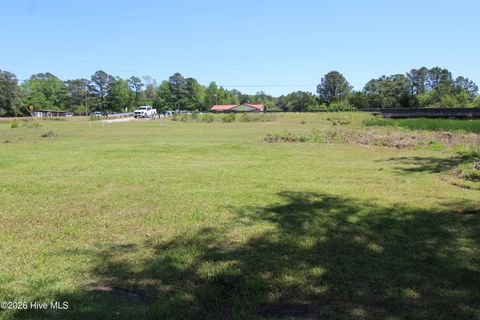 Tiny photo for 223 Bear Creek Road, Hubert, NC 28539 (MLS # 100568371)