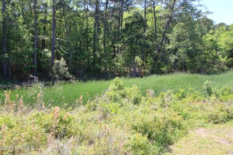 Tiny photo for 223 Bear Creek Road, Hubert, NC 28539 (MLS # 100568371)