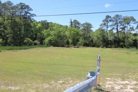 Photo of 223 Bear Creek Road, Hubert, NC 28539 (MLS # 100568371)