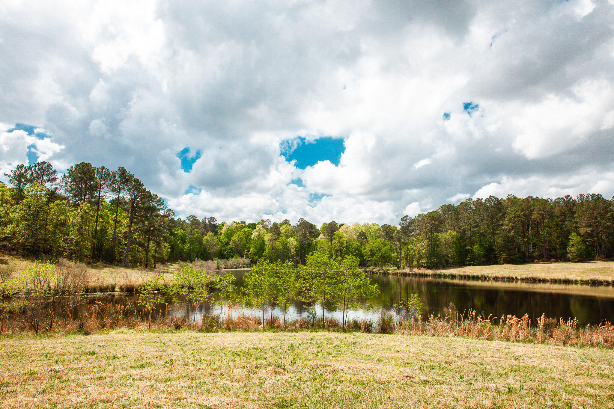 00 Ralph Goolsby Road