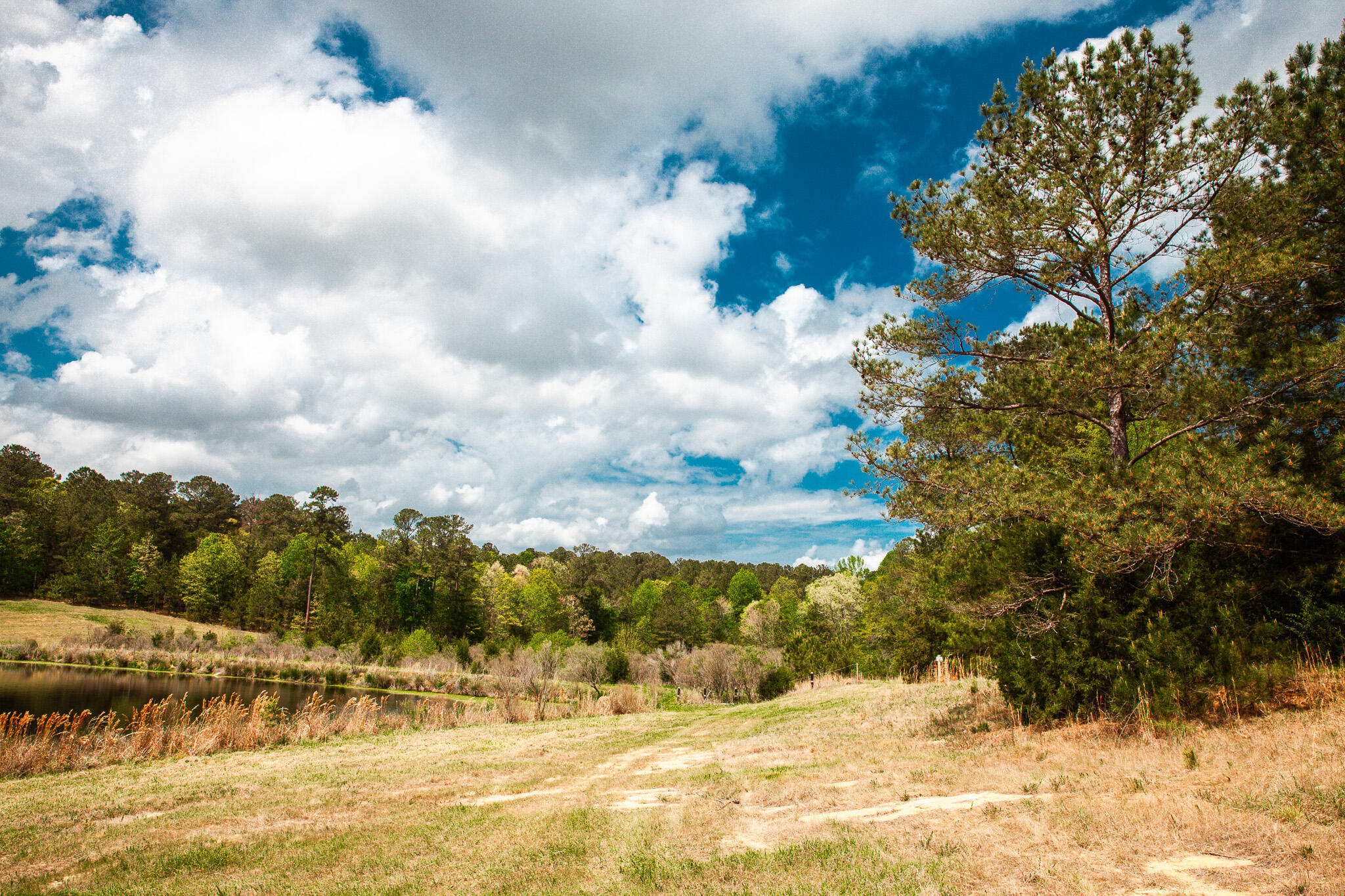 00 Ralph Goolsby Road