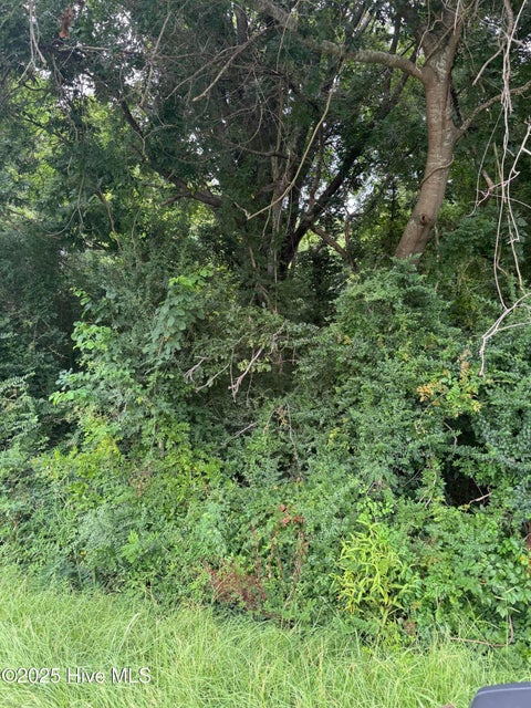 Vacant Land For Sale - 185 Sawyer Town Road<br/> Moyock, NC 27958