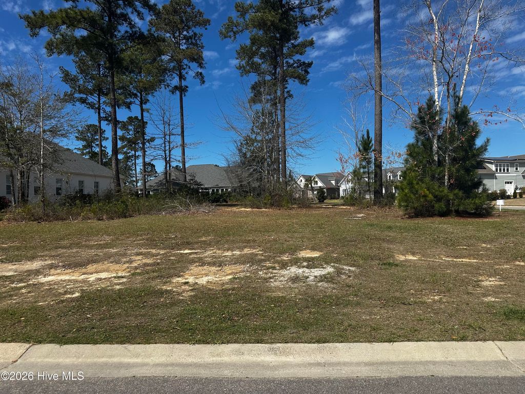 Photo of 2572 E Timber Crest Drive NE, Leland, NC 28451 (MLS # 100561050)