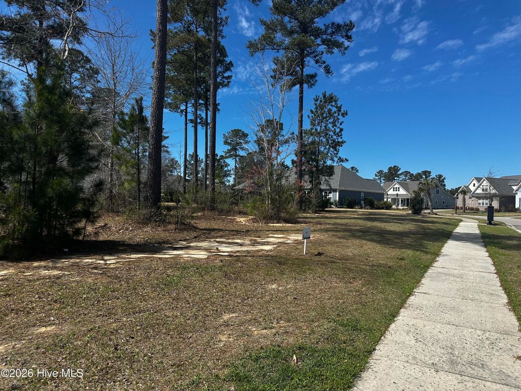 Photo of 2572 E Timber Crest Drive NE, Leland, NC 28451 (MLS # 100561050)